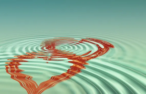 Fortune Kasino Sokongan